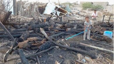 Photo of بالتزامن مع العمليات العسكرية للمليشيا الحوثية .. جرائم انسانية تطال المدنيين في مأرب
